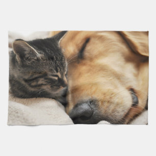 Paño De Cocina Perrito y gatito lindos
