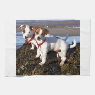 Paño De Cocina Perritos de Jack Russell