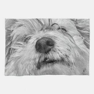 Paño De Cocina Perro Coton de Tulear
