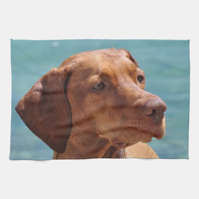 Paño De Cocina Perro Magyar Vizsla (Horizontal)