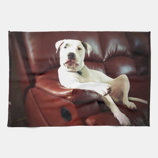 Paño De Cocina perro pit bull blanco divertido en el sofá (Horizontal)