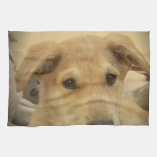 Paño De Cocina Perros y cachorros Cute Mans segundo mejor amigo.p