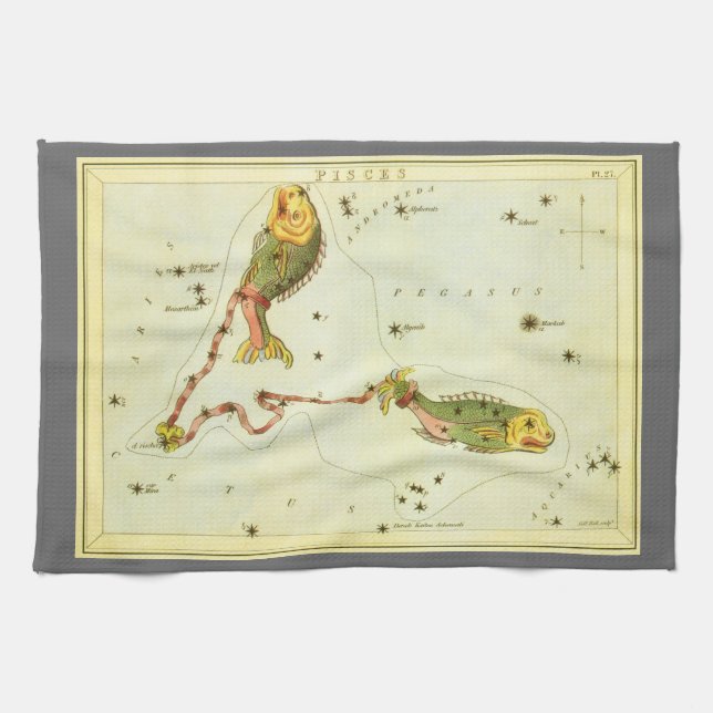 Paño De Cocina Pescado picante, espejo de la vieja constelación d (Horizontal)