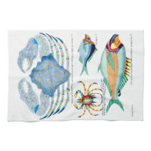 Pescados y Cangrejos en Papel Antiguo