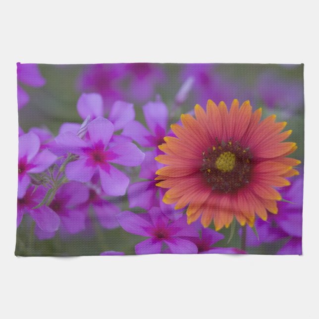 Paño De Cocina Phlox y manta india cerca de Devine Texas (Horizontal)