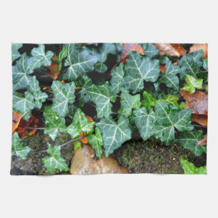 Paño De Cocina Piedra de hiedra y de campo