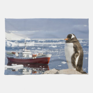 Paño De Cocina Pingüino de Gentoo