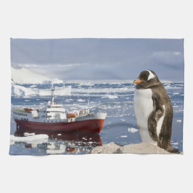 Paño De Cocina Pingüino de Gentoo (Horizontal)