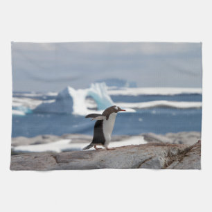 Paño De Cocina Pingüino frente a un arco de hielo