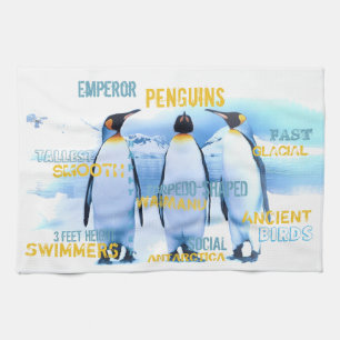 Paño De Cocina Pingüinos de emperador