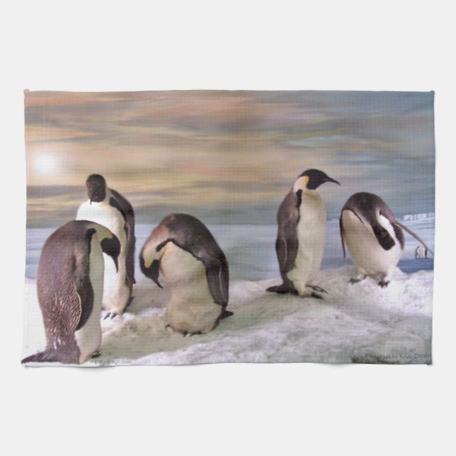 Paño De Cocina Pingüinos de rey (Horizontal)