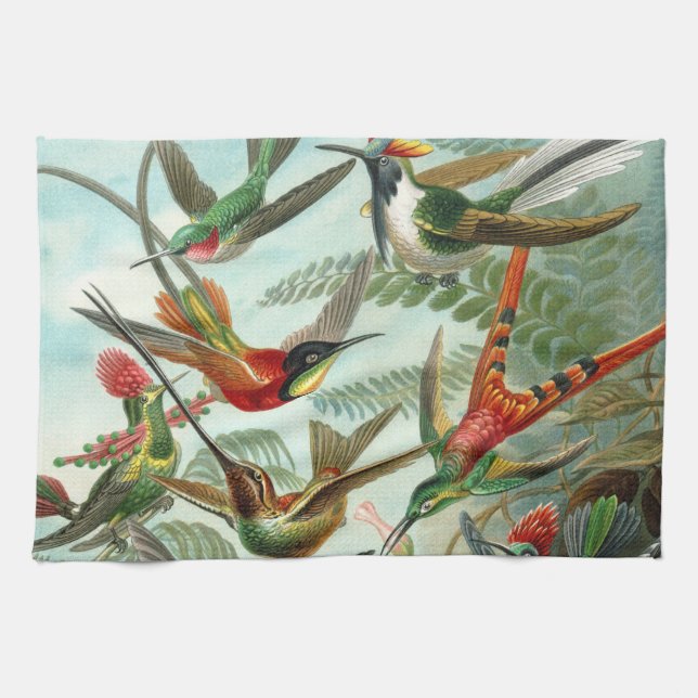 Paño De Cocina pintura clásica de la fauna silvestre de comingbir (Horizontal)
