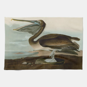 Paño De Cocina Pintura de arte pelicano John James Audubon Brown