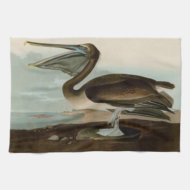 Paño De Cocina Pintura de arte pelicano John James Audubon Brown (Horizontal)