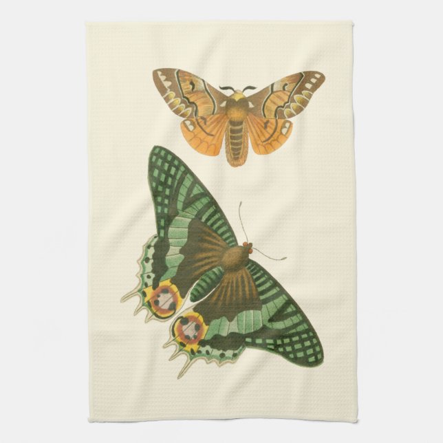 Paño De Cocina Pintura de mariposa ligeramente bordeada (Vertical)