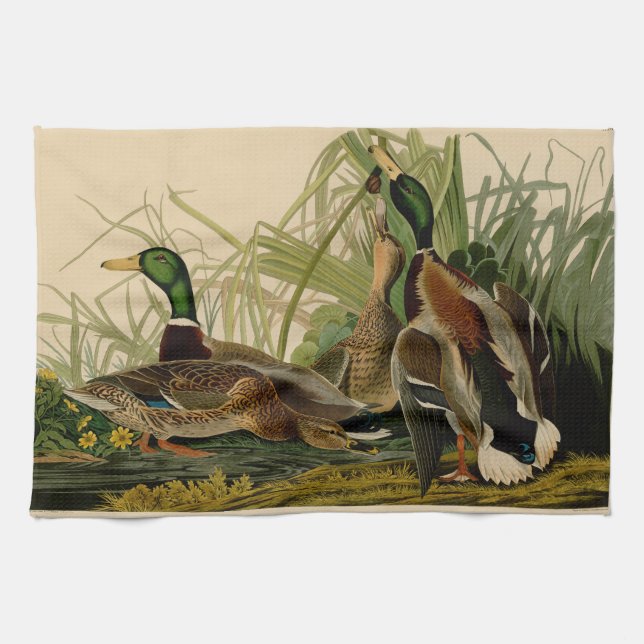 Paño De Cocina Pintura de pájaro de Mallard Duck Audubon (Horizontal)