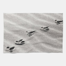 Pistas en la foto de arena