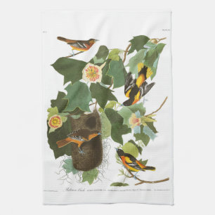 Paño De Cocina Placa 12 Baltimore Oriole de Audubon