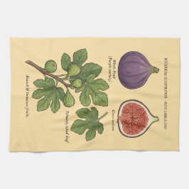 Paño De Cocina Planche Botanique Figue Ficus Carica 