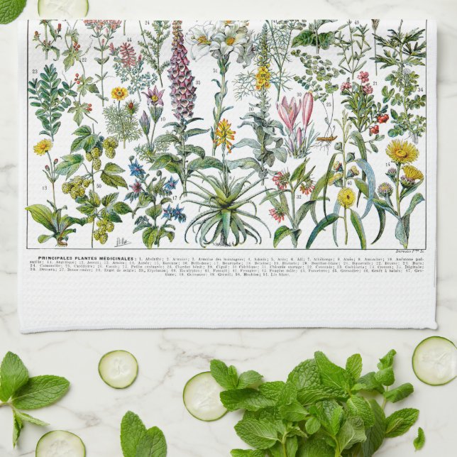 Paño De Cocina Plantas y flores medicinales de Adolphe Millot (Doblado)