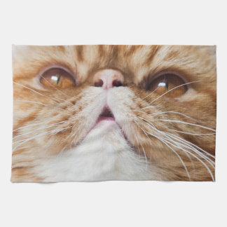 Paño De Cocina ¡Platos secos de DA!