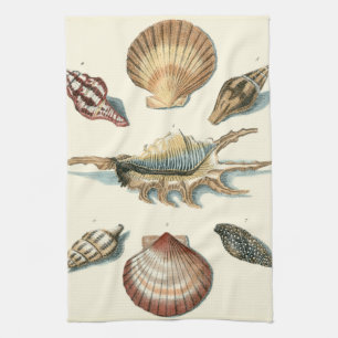 Paño De Cocina Playa Fancy Shell