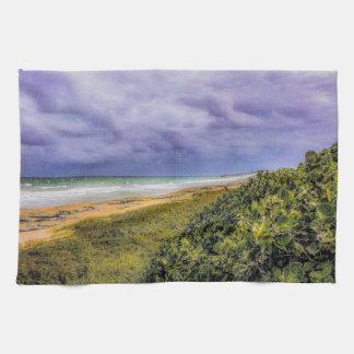 Paño De Cocina Playa Stormy Jupiter