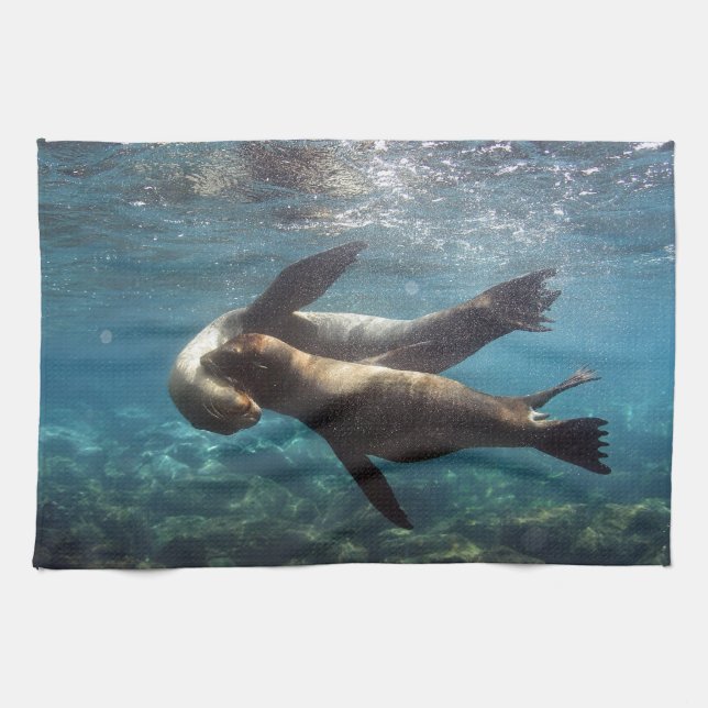 Paño De Cocina Playas de leones marinos Islas Galápagos (Horizontal)