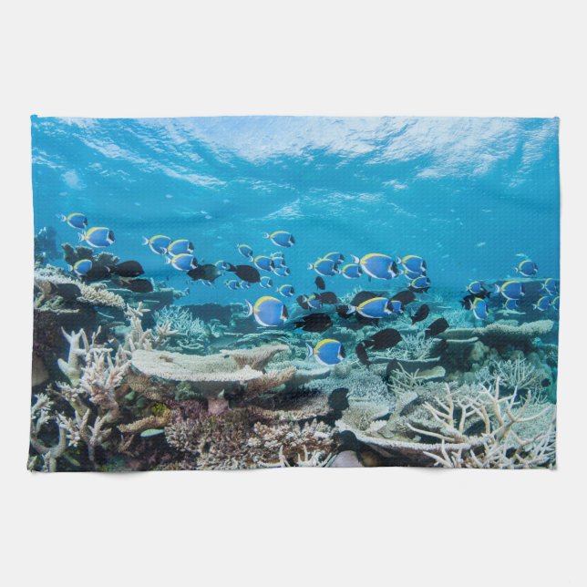 Paño De Cocina Playas tropicales | Sturgeon Entre Coral (Horizontal)