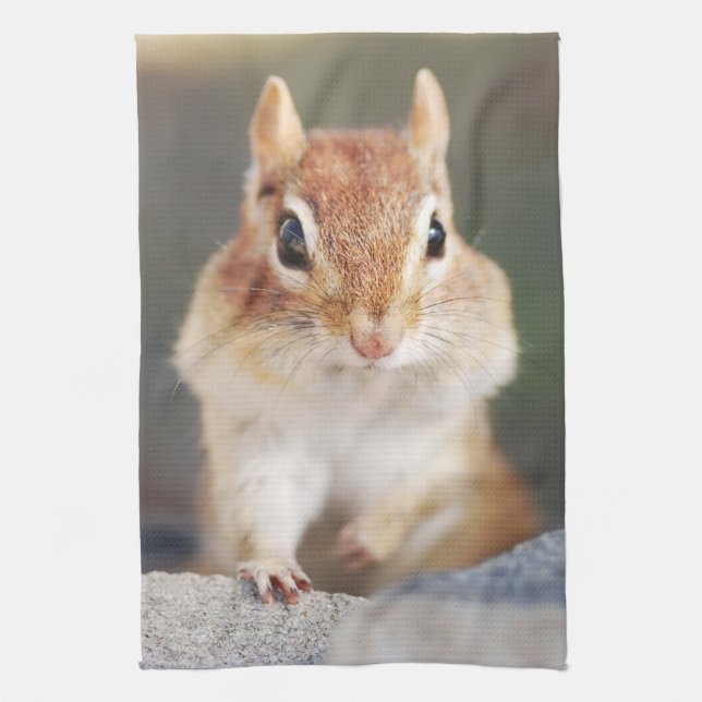 Paño De Cocina Poco retrato del Chipmunk (Vertical)