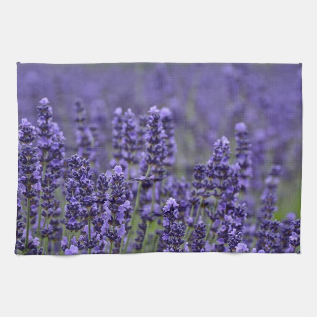 Paño De Cocina Pradera de lavanda morada (Horizontal)