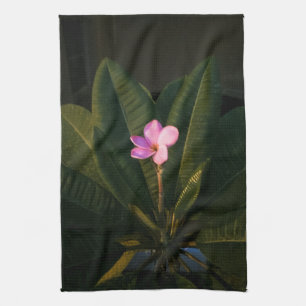 Paño De Cocina Primera Flor, Plumeria
