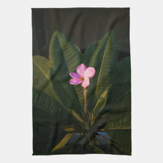Paño De Cocina Primera Flor, Plumeria