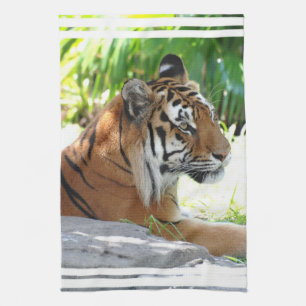 Paño De Cocina Producto del personalizar