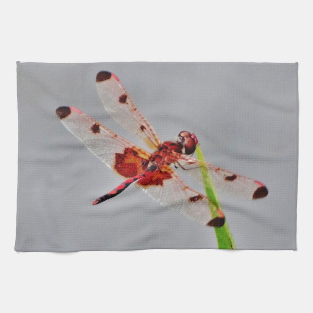 Paño De Cocina Producto personalizar (Horizontal)