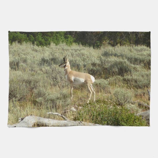 Paño De Cocina Pronghorn at Grand Teton National Park (Horizontal)