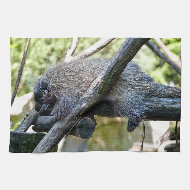 Paño De Cocina Puercoespín de árbol (Horizontal)
