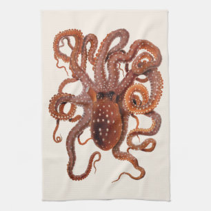 Paño De Cocina Pulpo Macropus, Animales Acuáticos Marinos Antiguo