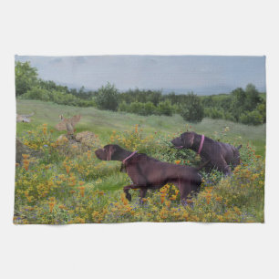 Paño De Cocina Punteros de corto alcance alemanes