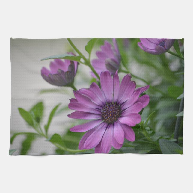 Paño De Cocina Purple Daisy (Horizontal)