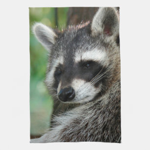 Paño De Cocina Raccoon 001