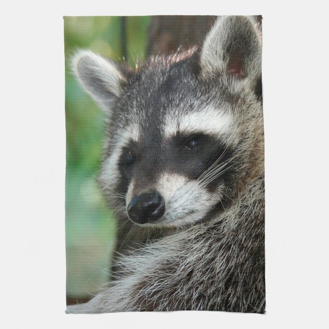 Paño De Cocina Raccoon 001 (Vertical)
