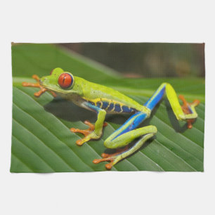 Paño De Cocina Rana de árbol verde de ojos rojos
