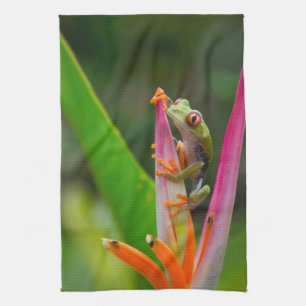 Paño De Cocina Rana de ojos rojos, Costa Rica