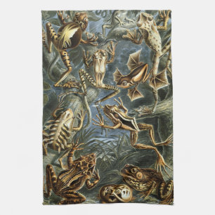 Paño De Cocina Ranas y sapos vintage Batrachia por Ernst Haeckel