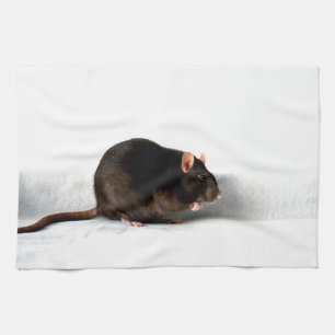 Paño De Cocina Rat ktcna