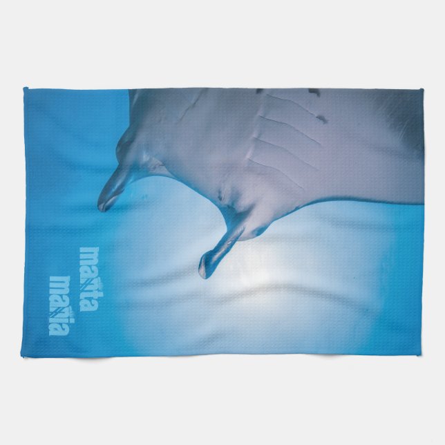 Paño De Cocina Rayo de manta (Horizontal)