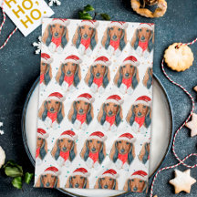 Raza de perro Dachshund Navidad