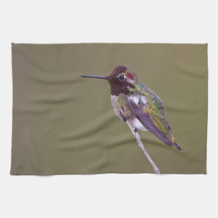Paño De Cocina Reclinación del colibrí