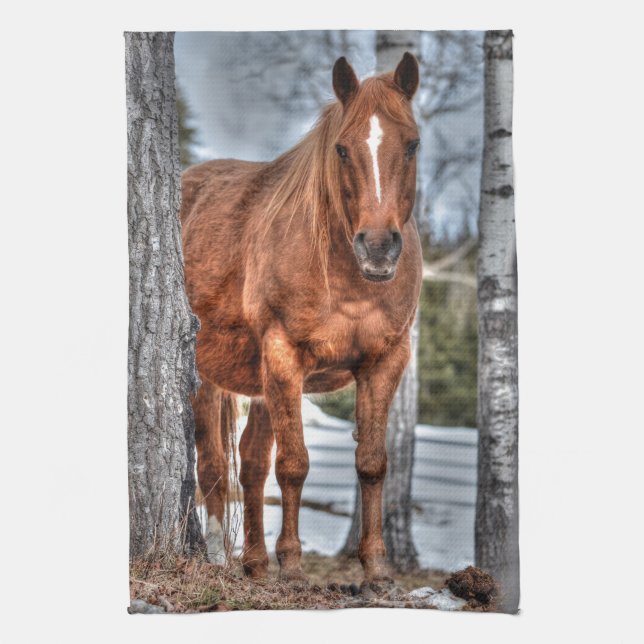 Paño De Cocina Red Dun Ranch Horse Animal lover Photo (Vertical)